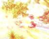 shot_741.jpg