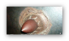 Ashampoo_Snap_2014.01.31_22h47m16s_005_.png