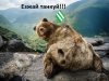 езжай танкуй! .png