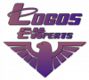 Logos EXperts LEX.png