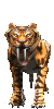 tiger.gif