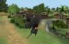 shot_003.jpg