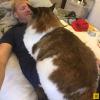 котик3.jpg