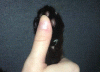 vgif-ru-36180.gif