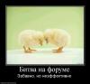 155904_bitva-na-forume.jpg