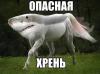 ZLlaqZzS1bc.jpg