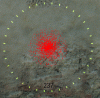 c7f0baa72dc9659bcb0691f464e13418.gif