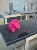 DSC00078.JPG
