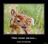 09ae3a0c86fcd2ff3a9f_4.jpg