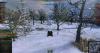 shot_029.jpg