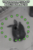 387d3468b6a460792658c242d7e611b15539185558c4e1.60675730.gif
