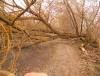 DSCN0605.JPG