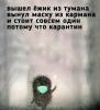 Ёжик в маске.jpg