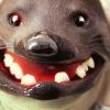 mole.jpg