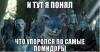 упоролся лис.JPG