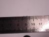 DSC06499.JPG