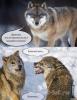 конечно.jpg