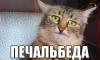печаль.jpg