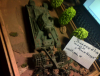 IMG0752A.png