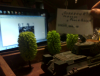 IMG0754A.png