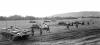 strv103b-8web1.jpg