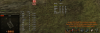norma 3.png