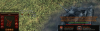 norma 1.png