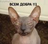 добра.jpg