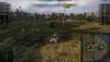 shot_002.jpg