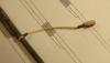 DSC02756.JPG