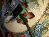 20200517_102803.jpg