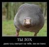 1259086394_demotivatory-(www.votrube.ru)17.jpg
