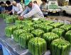 new-year-watermelon.jpg
