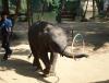 DSC04007.JPG