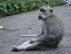 DSC03917.JPG