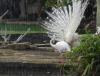 DSC03626.JPG