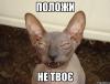 не твоё.jpg