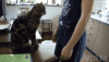 vgif-ru-32908.gif