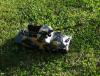 DSC05014.JPG