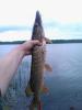 WP_001946.jpg