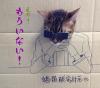toshiya86guagua5_.jpg
