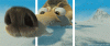 252.gif