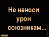 урон союзникам.gif