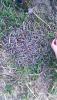 IMG_20140501_203453.jpg