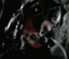 ezgif.com-gif-maker (2).gif