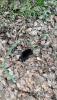IMG-20230628-WA0004.jpeg