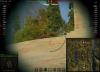 shot_654.jpg