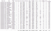 fv304_rota2.png