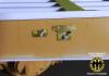 DSC02343.jpg