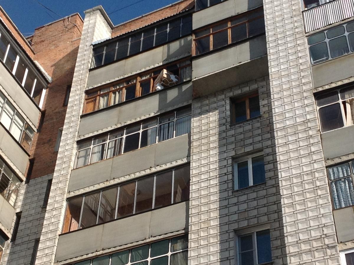 post-1749973-0-49599700-1440777595.jpg